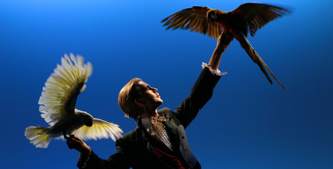 supermagic miraggi teatro olimpico magia zerkalo spettacolo