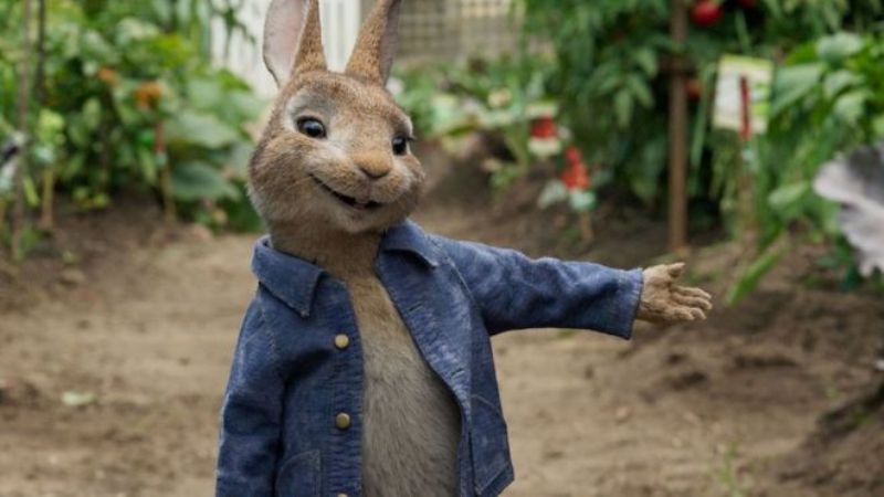 Peter Rabbit recensione zerkalo spettacolo