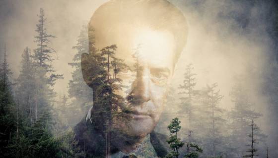 twin peaks la serie evento in dvd e blu ray con universal zerkalo spettaclo