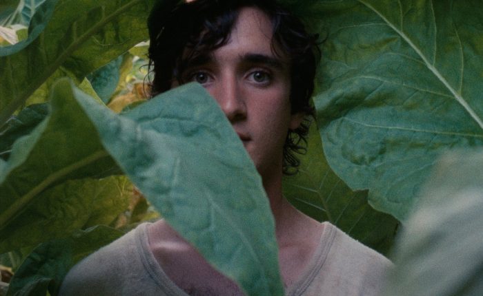 Alice Rohrwacher dirige Lazzaro Felice premiato a Cannes 2018 per la sceneggiatura recensione zerkalo spettacolo