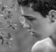 dei recensione film cosimo terlizzi zerkalo spettacolo