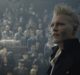animali fantastici 2 recensione zerkalo spettacolo