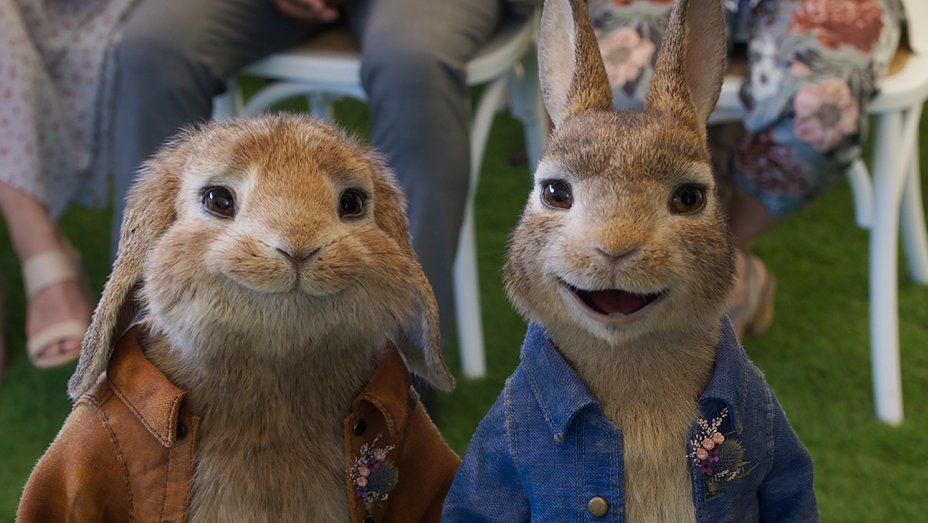 Peter Rabbit 2 Un Birbante In Fuga zerkalo spettacolo