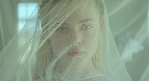 Young Ones, il film post-apocalittico con Michael Shannon e Elle Fanning sulle maggiori piattaforme digitali zerkalo spettacolo