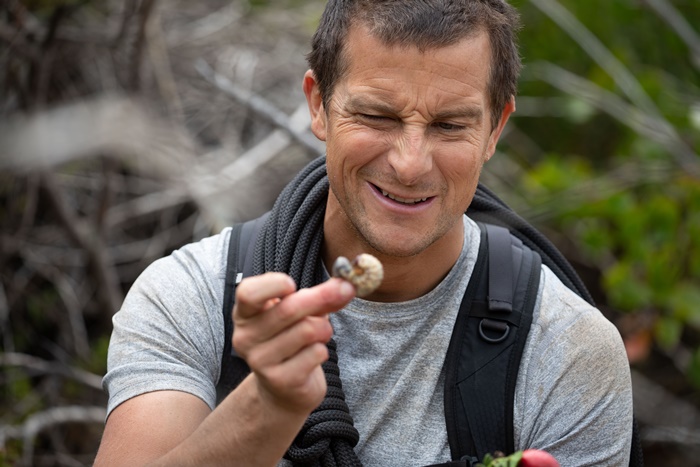 Scuola di sopravvivenza: Missione safari, il nuovo film Netflix per tutta la famiglia con Bear Grylls zerkalo spettacolo