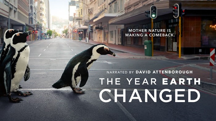 Giornata della Terra, su Apple TV+ il doc The Year Earth Changed e le seconde stagioni di Tiny World e Il mondo notturno a colori zerkalo spettacolo