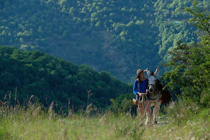 Io lui lei e l'asino: la recensione del film francese campione d'incassi premiato ai César zerkalo spettacolo