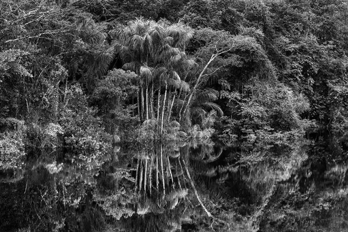 Maxxi, da ottobre in mostra l'Amazzonia di Sebastião Salgado zerkalo spettacolo