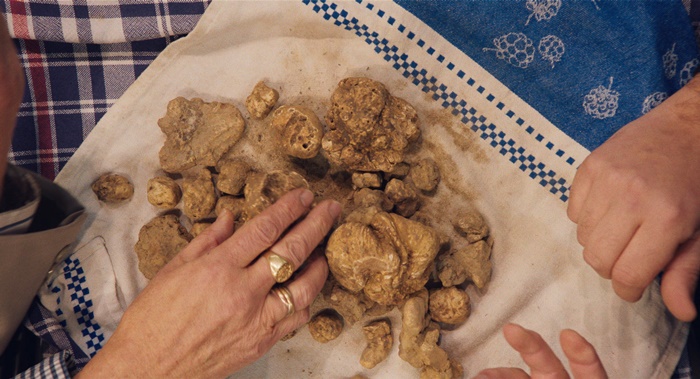 The Truffle Hunters, anticipazioni dell'acclamato documentario prodotto da Luca Guadagnino zerkalo spettacolo